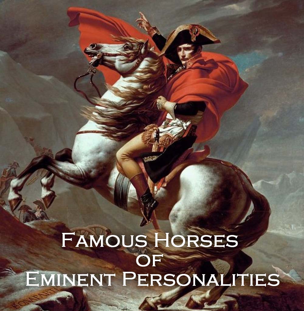 Famous Horses of Indian Leaders | Famous Horses in Indian ...